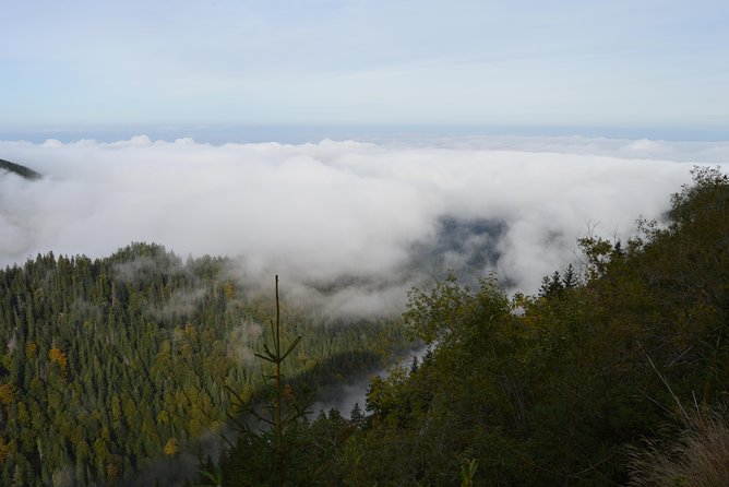 Transfagarasan, Vidraru and Poenari Fortress Tour from Sibiu - How to pace your day: timing, weather, and what to pack