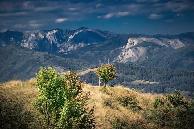 Transfer Bucharest -Brasov with Targoviste and Bran Castle visits - Who this tour is ideal for, and who should consider another option