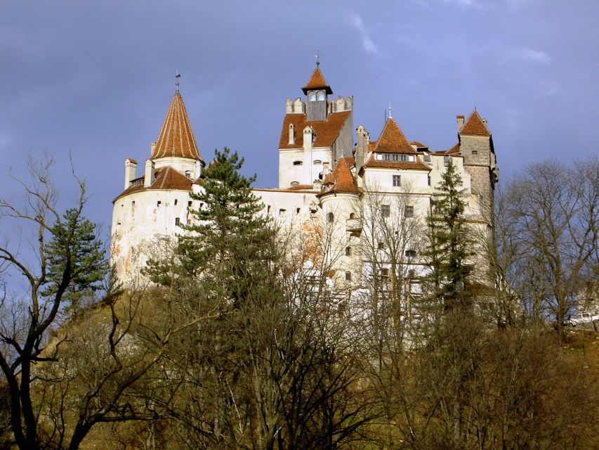 Transylvania: Cultural Full-Day Trip by Minivan - Who Should Book This Transylvania Day Trip, and Who Should Not