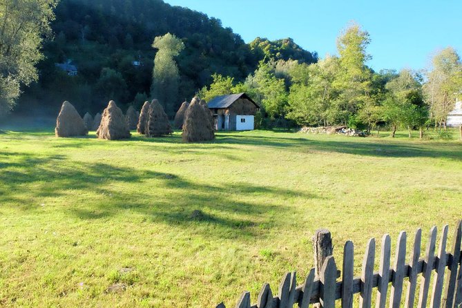 Transylvania Day Trip from Bucharest: In Search of Count Dracula - What the schedule feels like on the ground