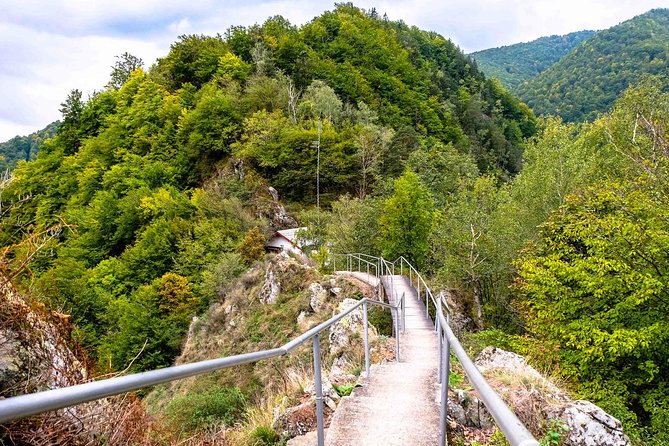Transylvania Day Trip from Bucharest: In Search of Count Dracula - Hotel pickup, small groups, and a guide like Nedea