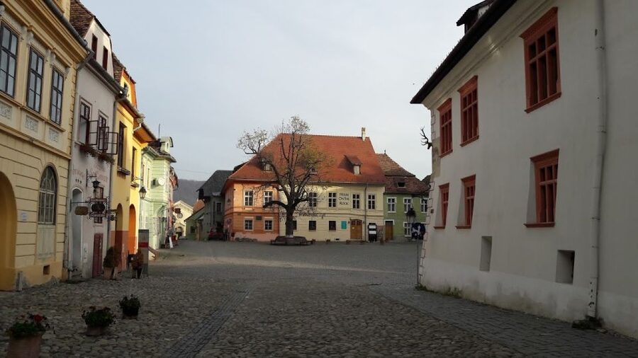 Transylvania: Dracula's Castle and Birthplace Tour - Sighișoara medieval core and Vlad Dracul’s birthplace plus schnapps