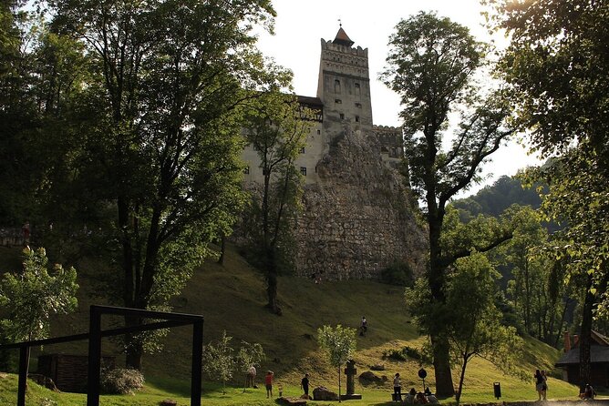 Transylvania Escape - from Bucharest - 3 days w. accommodation - Day 3: Ethical Bear Sanctuary, Prejmer’s Fortified Church, and Brașov Old Town