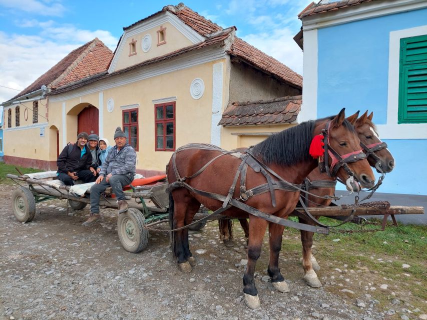 Transylvania Gems: Sighisoara, Medias, Biertan & Gypsy life - Mediaș, the Citadel of Light, plus a workshop visit
