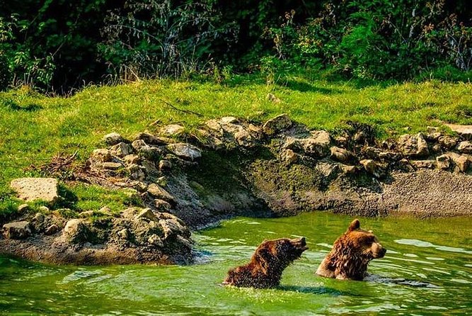 Transylvania with Dracula Castle, Bear Sanctuary and Brasov - How the long drive works, and what to bring for comfort