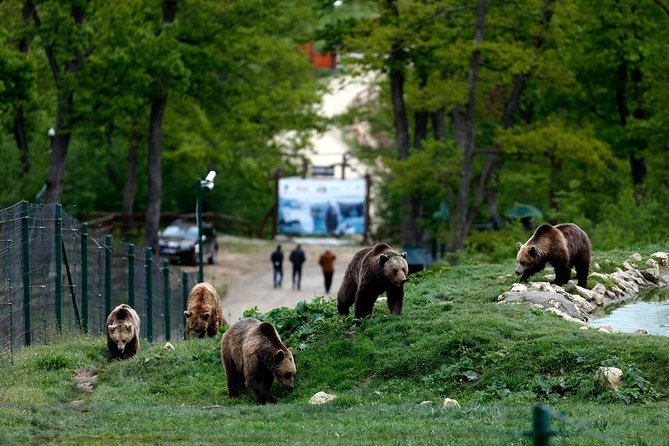 Transylvania with Dracula Castle, Bear Sanctuary and Brasov - Bran Castle, the Dracula stop: iconic exterior, crowds, and timing