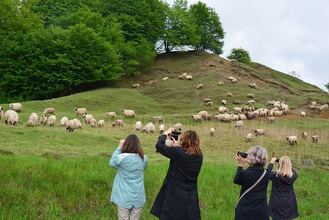 Transylvanian week - Day 6: Prahova Valley to Sinaia for Peles, Then a Guided Bucharest Evening