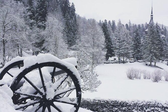Uncover Transylvania: Private 2-Day Tour Bears & Medieval Wonders - Practical Tips So You Enjoy Every Stop