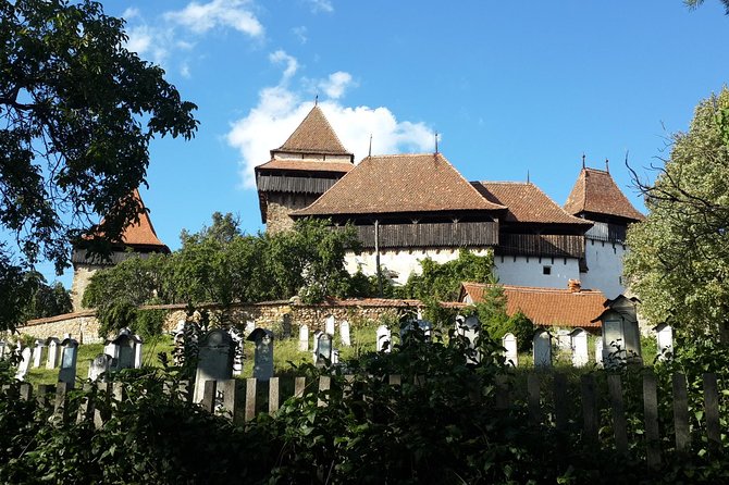 UNESCO Guided Day Tour From Brasov: Sighisoara, Rupea and Viscri - Rupea Fortress: why the stop works as a breather