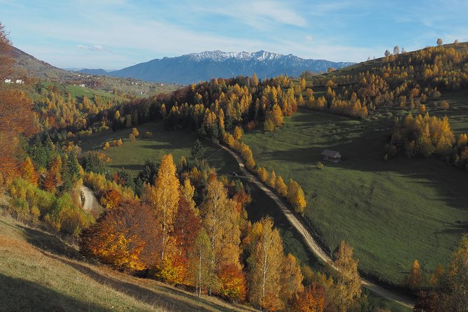Village life in Transylvanian Carpathian mountains - 8 days - Fundata and Fundatica (Day 5): highest commune and small stories