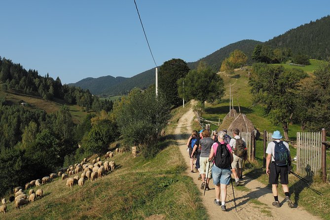 Village life in Transylvanian Carpathian mountains - 8 days - Bucegi Natural Park’s northern side, Devil’s Mill Waterfall (Day 6)