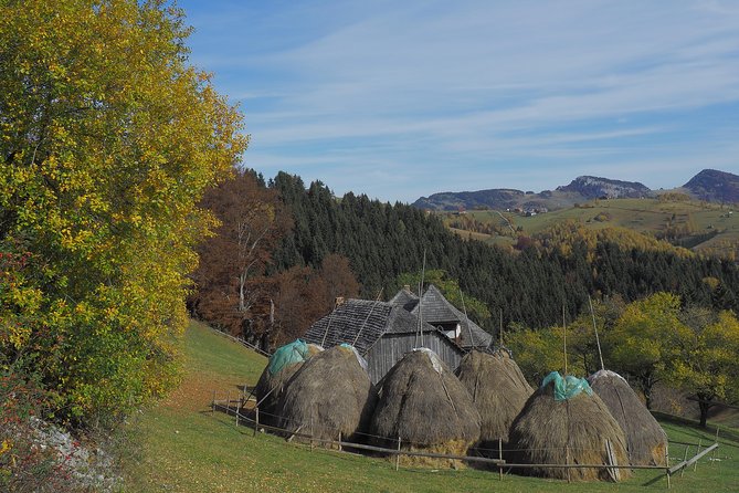 Village life in Transylvanian Carpathian mountains - 8 days - Seven Ladders Canyon: the metal-stair canyon day (Day 7)