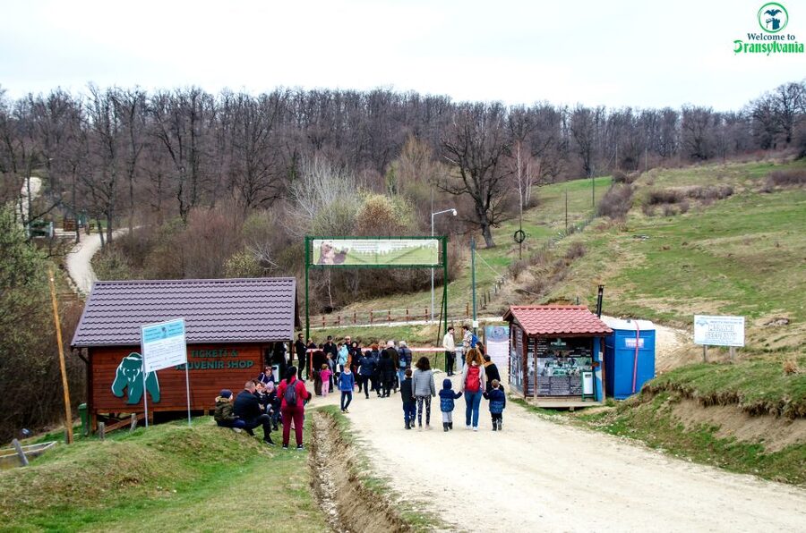 Visit Bear Sanctuary and Bran Castle from Brasov - Key highlights you’ll care about