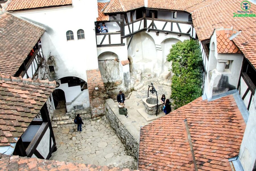 Visit Bear Sanctuary and Bran Castle from Brasov - Brasov to Zarnesti to Bran, done by car