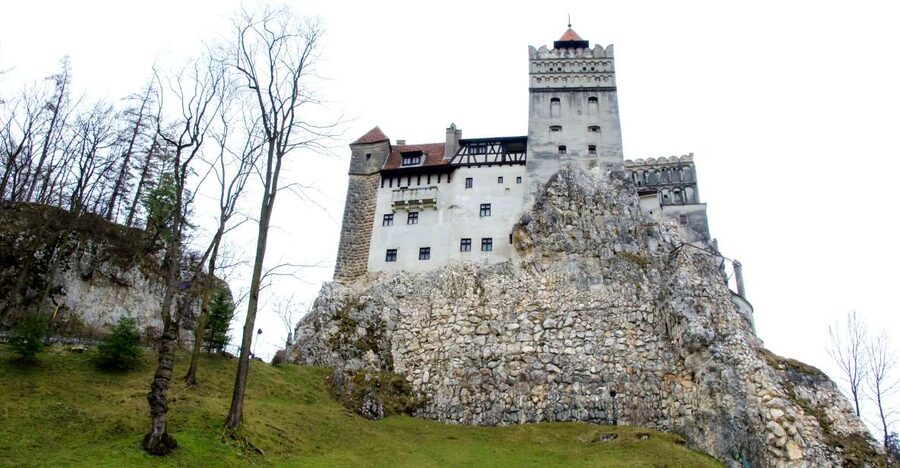 Visit Bear Sanctuary and Bran Castle from Brasov - Bran Castle: Dracula legend, guided pacing, real crowds