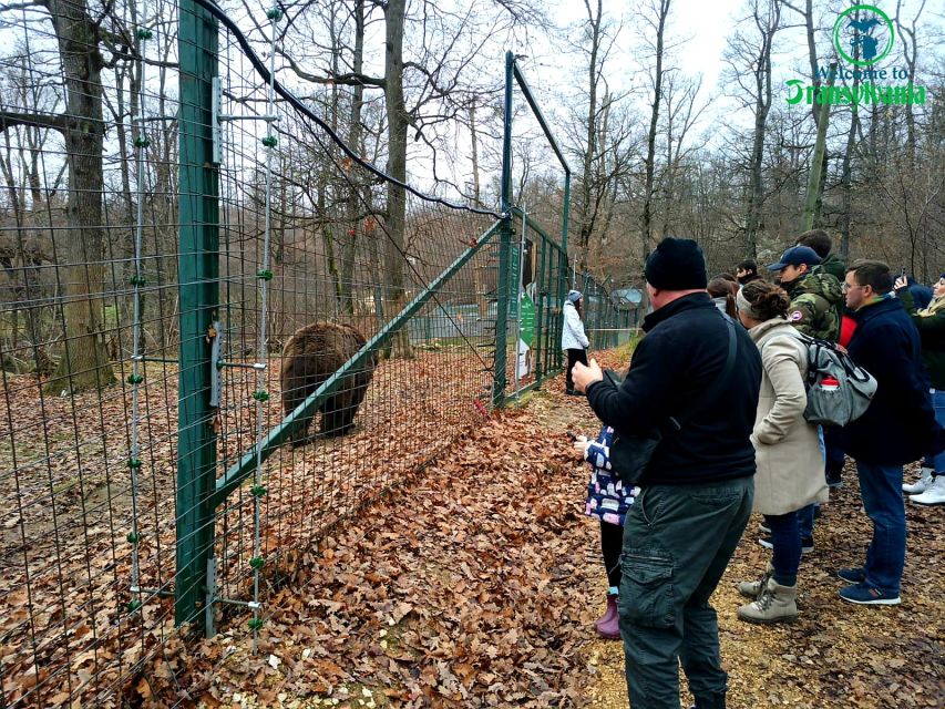 Visit Bear Sanctuary and Bran Castle from Brasov - Price and value: what $83 buys you, and what to budget