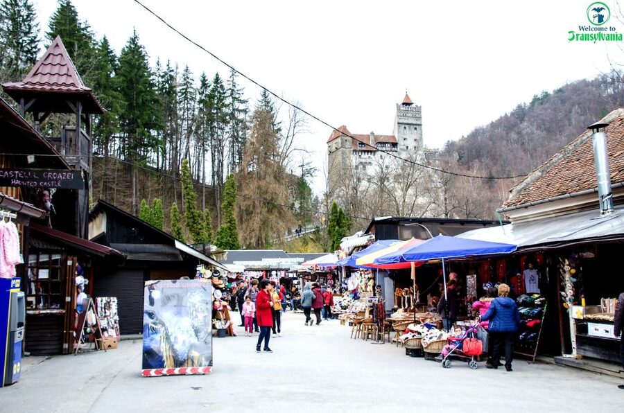 Visit Bear Sanctuary and Bran Castle from Brasov - LiBEARty Bear Sanctuary: more than a photo stop