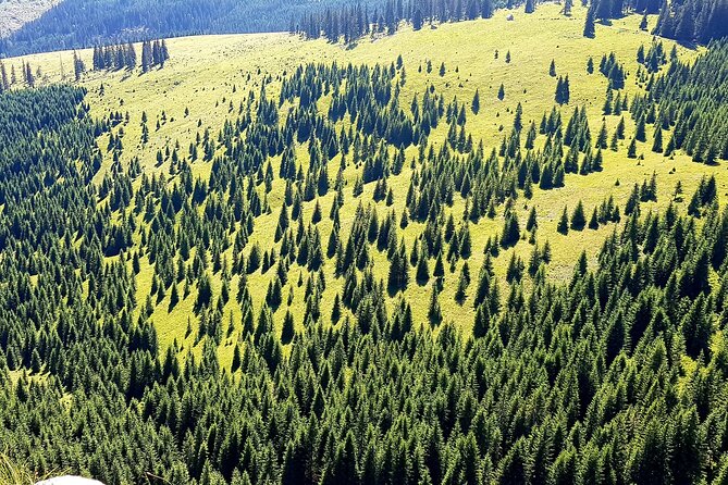 Vladeasa Peak and Bride's Waterfall Day Hike - The guide experience: safety-first, pace-friendly, and fun