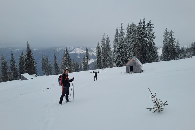Vladeasa Peak and Bride's Waterfall Day Hike - Should you book this Vlădeasa Peak and Bride’s Waterfall hike?