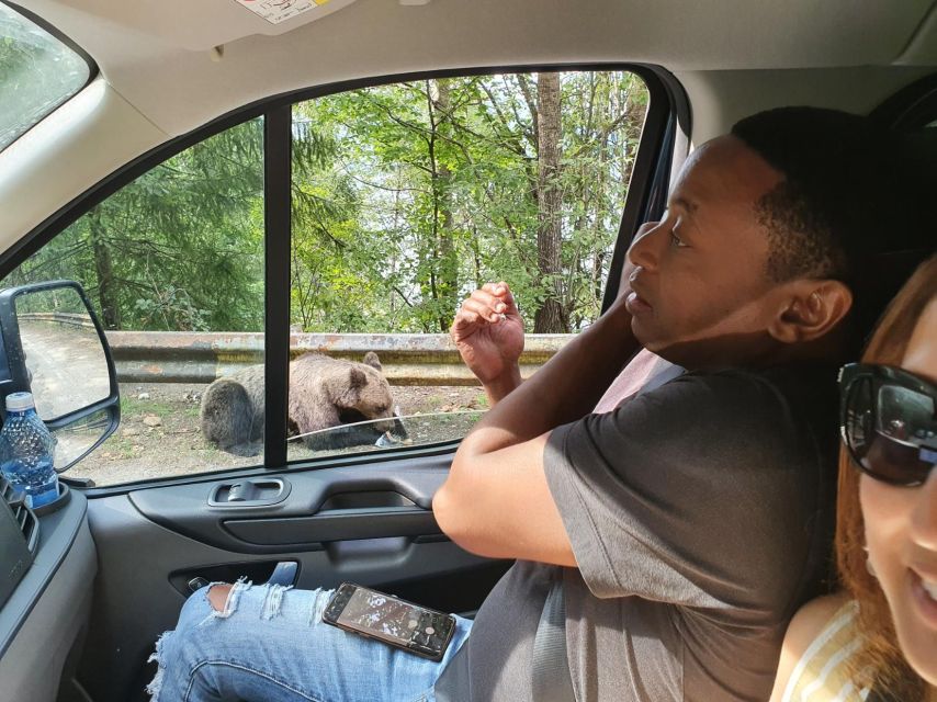 Wild Bears and Dracula Private Day Tour - Should you book the Wild Bears and Dracula Private Day Tour?