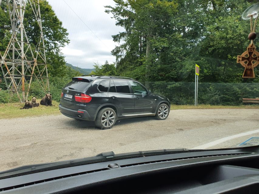 Wild Bears and Dracula Private Day Tour - Wallachia drive-time stops: scenic views plus shopping time