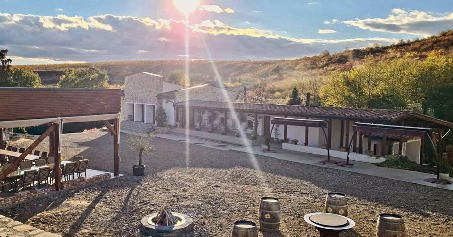 Winery touring & private wine tasting - one day private tour - Key Points You’ll Care About