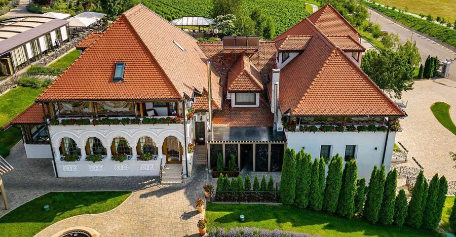 Winery touring & private wine tasting - one day private tour - Winery Hops That Actually Feel Personal, From Modern Warm-Up to Boutique Tastings