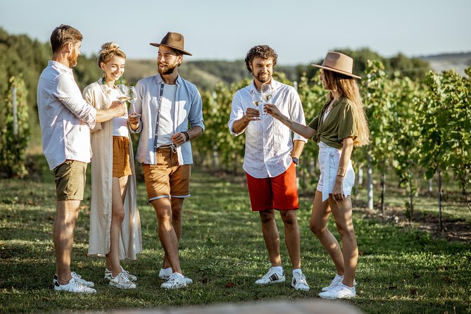 Wines of Wallachia – 8 hours - Key points that make this Wallachia wine tour worth your time