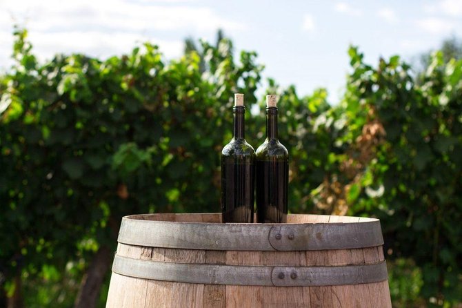 Wines of Wallachia – 8 hours - Lunch between tastings: plan for an extra spend