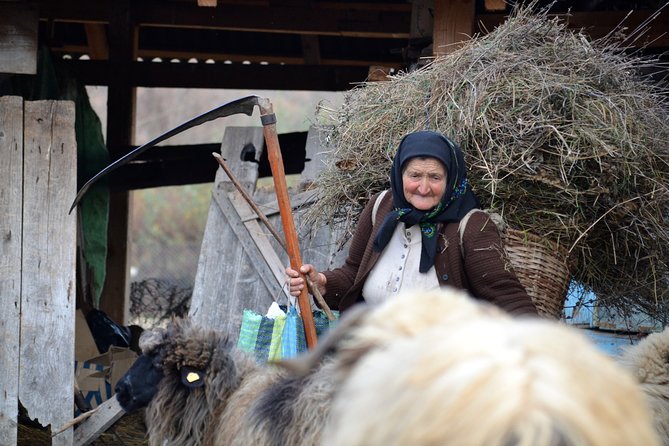 Your rendez-vous with Europe's past: time-travel to Maramures, Transylvania - Day 6: Viscri, Saschiz, and Brasov’s Black Church, Rope Street, and bastions