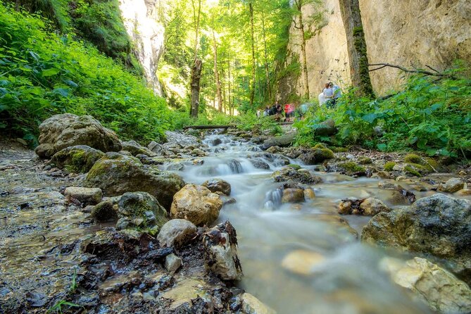 Zipline, Hiking and Canyon Crossing Expedition - The 2-Hour Hike Near The Carpathian Mountains: Guided, Practical, And Not Too Long